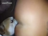Girl with a great wazoo being licked by pup